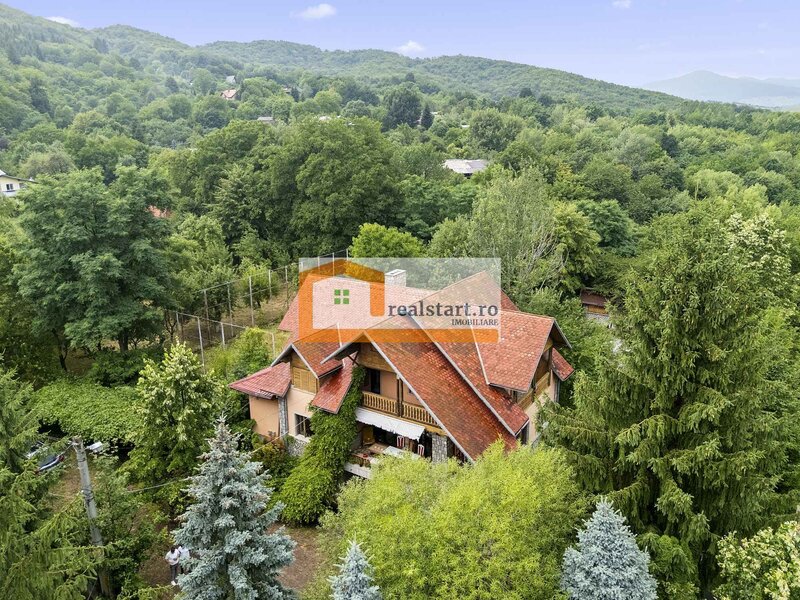 Breaza Pet Friendly, Vedere Padure, 5000mp teren, D+P+1E+M, semineu, foisor